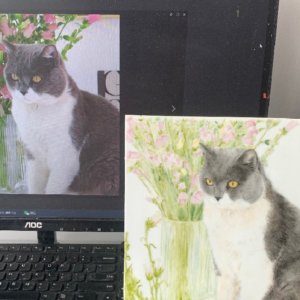 Personalized Custom Hand-Painted Ceramics