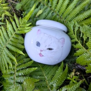Hand Painted Pet Portrait Urn: Ceramic Memorial Jar for pets
