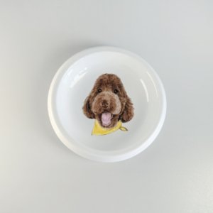 Hand-painted portrait Small pet shallow plate